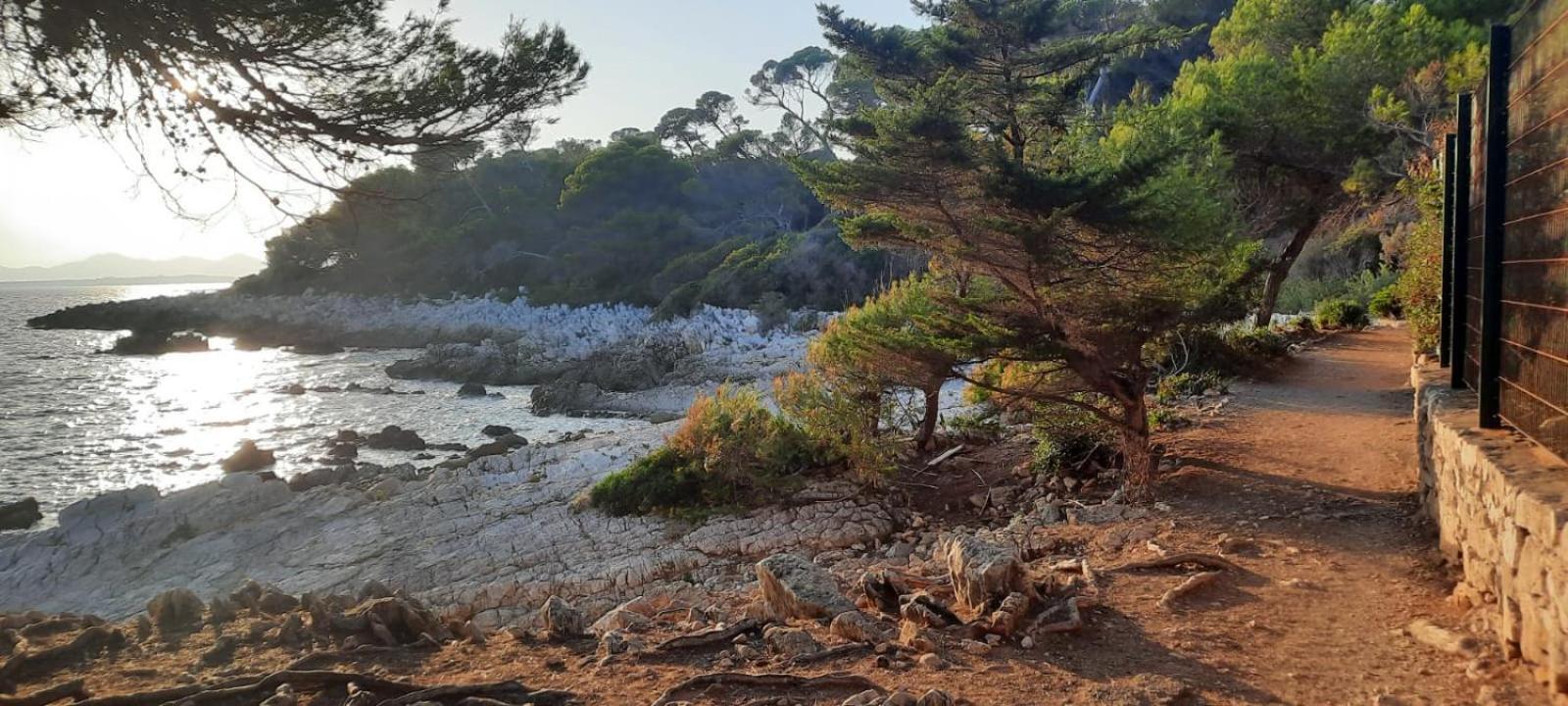 Studio Sun-Beach Avec Parking Et Jardin - 500M Des Plages De Juan Les Pins Antibes Luaran gambar