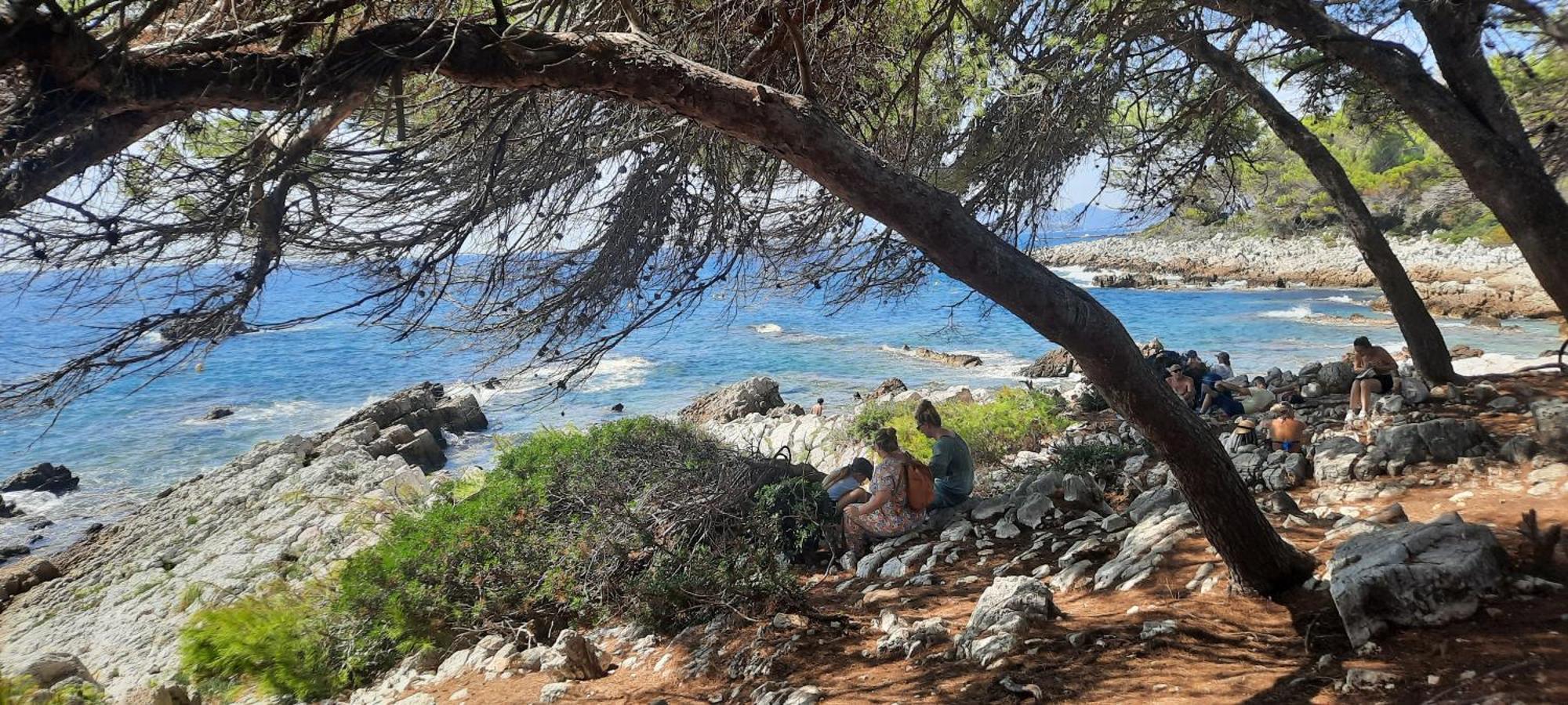 Studio Sun-Beach Avec Parking Et Jardin - 500M Des Plages De Juan Les Pins Antibes Luaran gambar